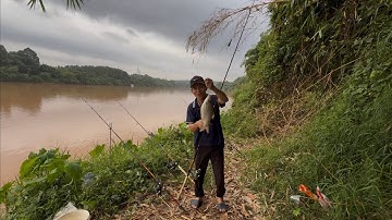 #câu cá kiểu mới lạ và thưởng thức món cá thơm ngon tại bãi câu lạc an sông đồng Nai