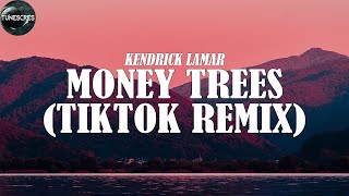 Money trees (TikTok Remix) - Kendrick Lamar