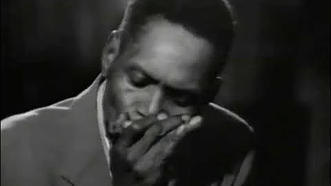 Big Mama Thornton, John Lee Hooker, J.B. Lenoir, W...