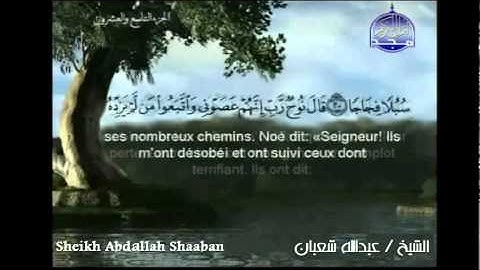 سورة نوح .. القارئ عبدالله شعبان