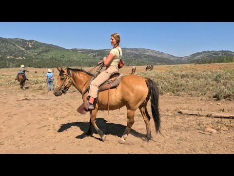 Horseback Riding in the Utah Mountains.