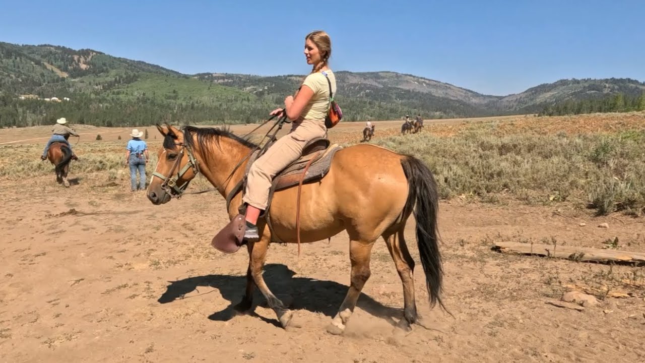 Horseback Riding in the Utah Mountains.