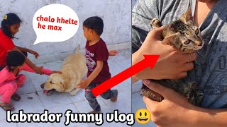 Max labrador khele game bachho ke saat😃 / dog funny video /dog can talk by At Mix Vlogs 60 views 2 months ago 5 minutes, 3 seconds