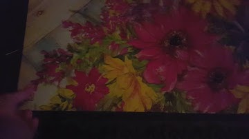 SmartThings, Amazon Echo, and Harmony Hub Demo.  My Smart Home