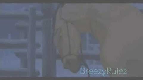 MEP part 7 for my MEP