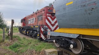¡ACELERADA MORTAL CON CARGADOS! 6616 de Fepsa en Carhué armando tren y partiendo hacia Bahía Blanca.