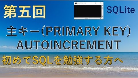 【SQLite】第五回　主キー（PRIMARY KEY＝プライマリーキー）、AUTOINCREMENT（オートインクリメント）、データ型の設定★