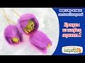 Крокусы из конфет и гофрированной бумаги. Мастер Класс 1. Crepe paper flowers. Paper crocuses