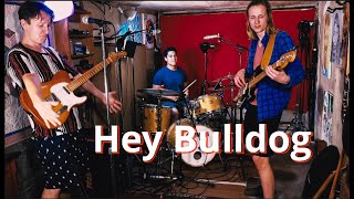 Video thumbnail of "HEY BULLDOG - The Beatles - Lee Bros. feat. Westin Byerly"
