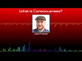 Consciousness Detection Techniques