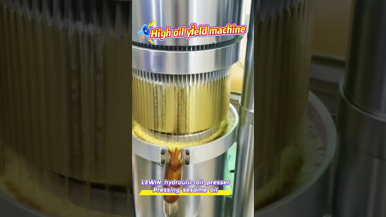 LEWIN Hydraulic Press Producing Premium Sesame Oil