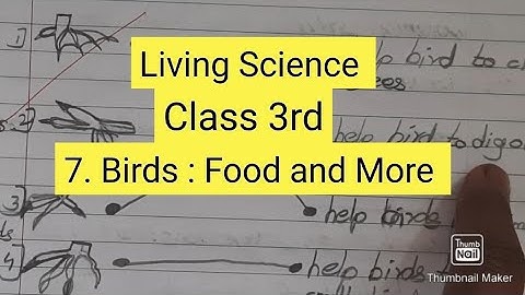 Class 3rd || Living Science || 7 - Birds : Food and More   ||   Question and Answers