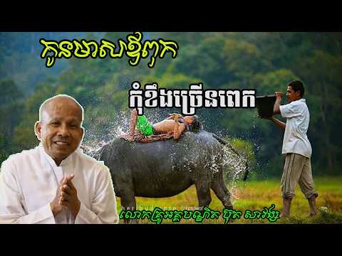 កូនមាសឪពុកកុំខឹងច្រើនពេក