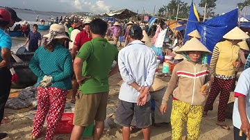 Hải sản biển mũi né phan thiết