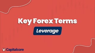 Key Forex Terms: What is Leverage in Trading?