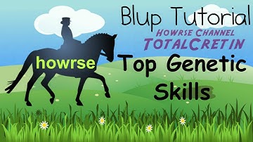 Top Genetic Skills - Howrse Blup Tutorial