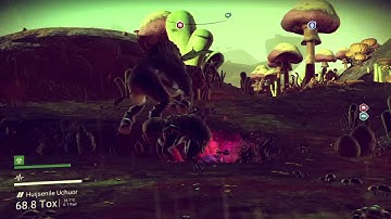 Flying Turtle Elephant Things No Mans Sky