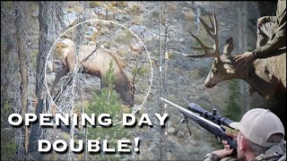 DIY Rifle Elk Hunt - BIG BULL and BIG BUCK DOWN!