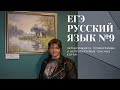 Как решить №9 в ЕГЭ по русскому без ошибок. 5 шагов.