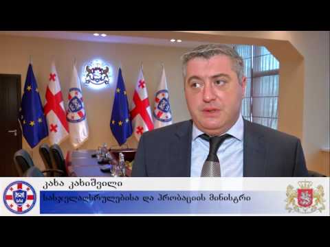 კახა კახიშვილი საქართველოში UNICEF-ის წარმომადგენელს შეხვდა