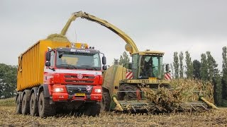 **PRIMEUR** | Tatra Phoenix 460 8x8 Agritruck | Gebr. van Eijck