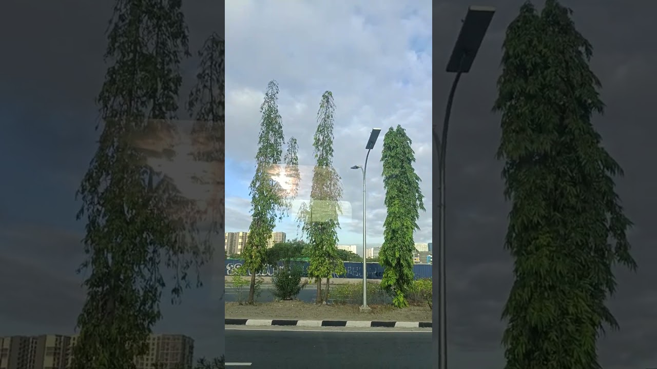 In solid north 142 (yutong)