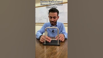 Newton Cradle |Law of Conservation of Linear momentum #Physics #momentum # newton # physicswallah