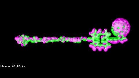 Time evolution of the photoinduced 1