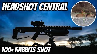 Headshot Central with my FX Impact M3 .22 Calibre PCP Air Rifle || Rabbit Hunting & Shooting screenshot 4
