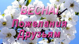 Весна! Весенний привет Друзьям! Для друзей красивые пожелания.