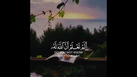 الم تعلم ان  الله على كل شيء قدير } القارئ ياسر الدوسري