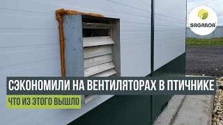 Сэкономили на вентиляторах в птичнике. Что из этого вышло?