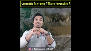 Crocodile के हर Bite में कितना Force होता है #shorts / Jasmin Patel / Easily Explained