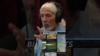 The Insane Speed Of The Pronghorn - Joe Rogan