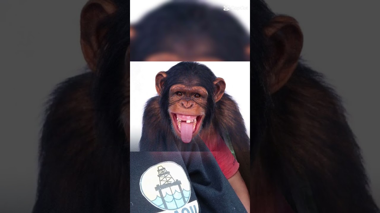 Ang gwapo talaga Ng kainigan ko 😜😜😂😂✌️