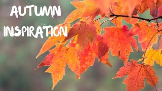 10 Inspirational Quotes For Autumn | Fall Quotes to Motivate You