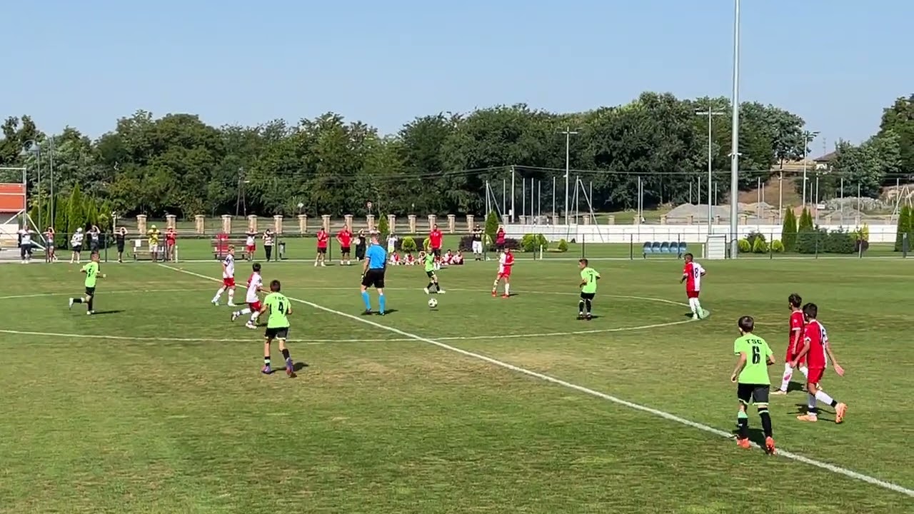 FK Cukaricki Stankom Cukarica 2-0 FK Vojvodina Novi Sad :: Videos 