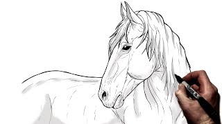 How To Draw A Horse | Step By Step