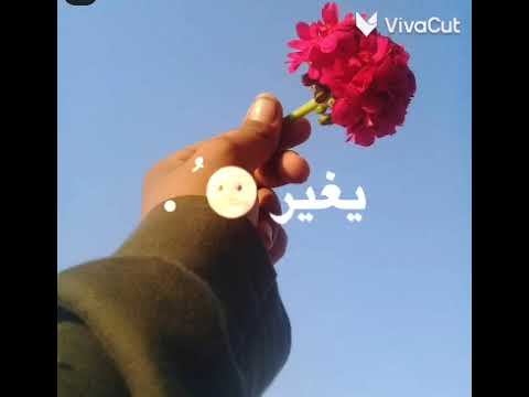 حالات واتس اب شيرين خلو اللي يغير مننا