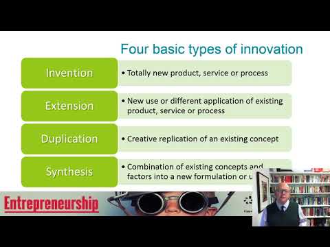 Why Do Entrepreneurial Organizations Seek Innovation