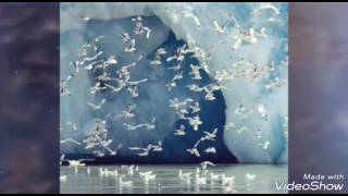 Nijhum Shondhaye by AMBALIKA MUKHERJEE