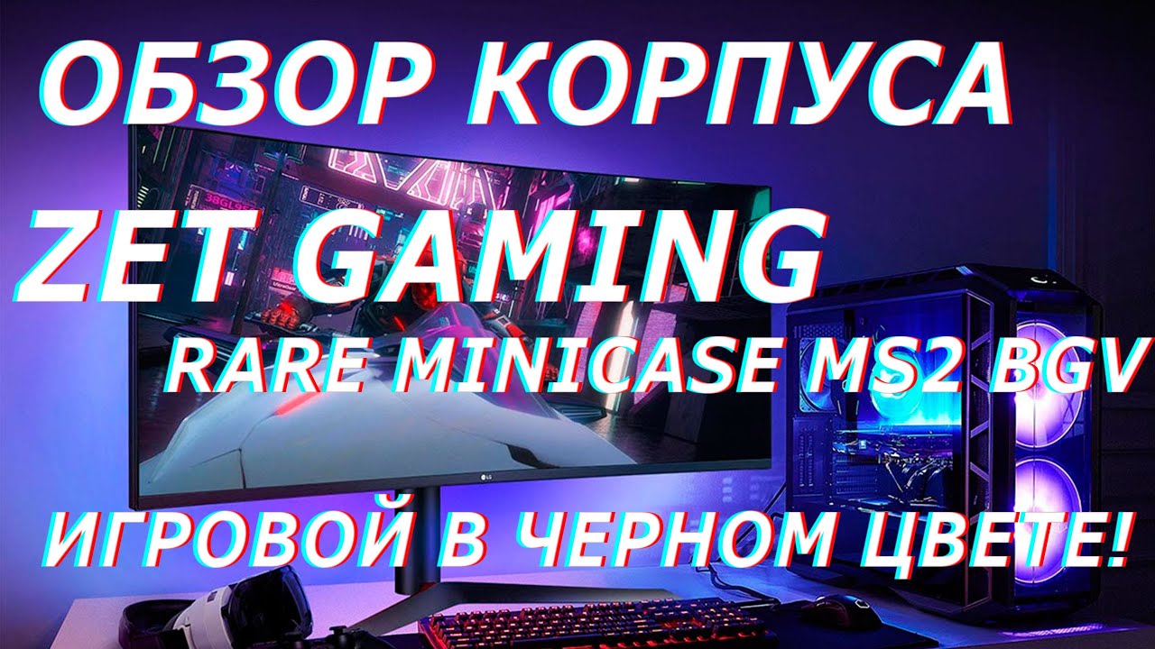 Gaming rare minicase ms2 bg