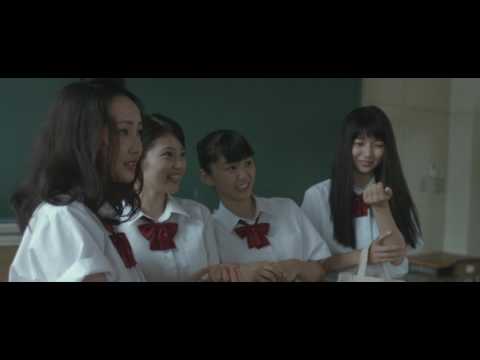 【予告編】短編映画『カランコエの花』