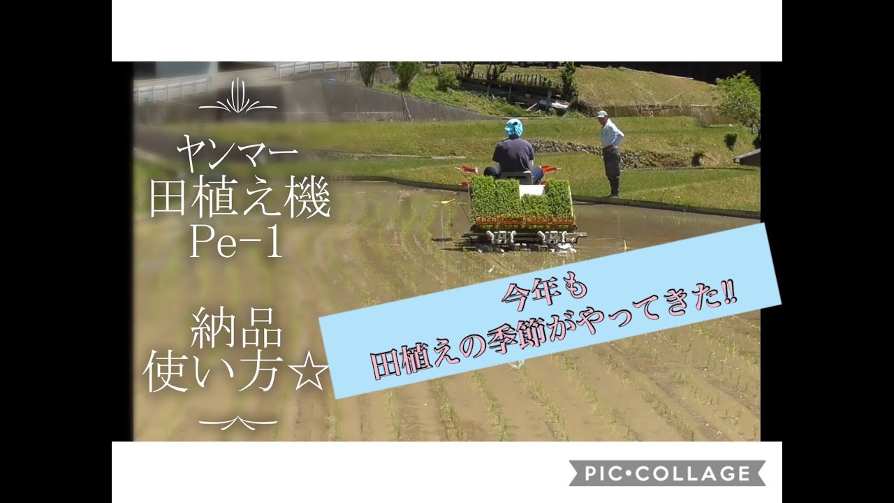 田植えの季節がやってきました！！棚田の田植え ﾔﾝﾏｰ田植え機【Pe -1