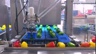 Easypack Technologies - Robot Assisted Packing - Short Version