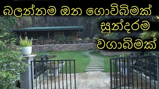 ගහට කොළට ආදරය කරන ඔබ යායුතුම තැනක් wagawa