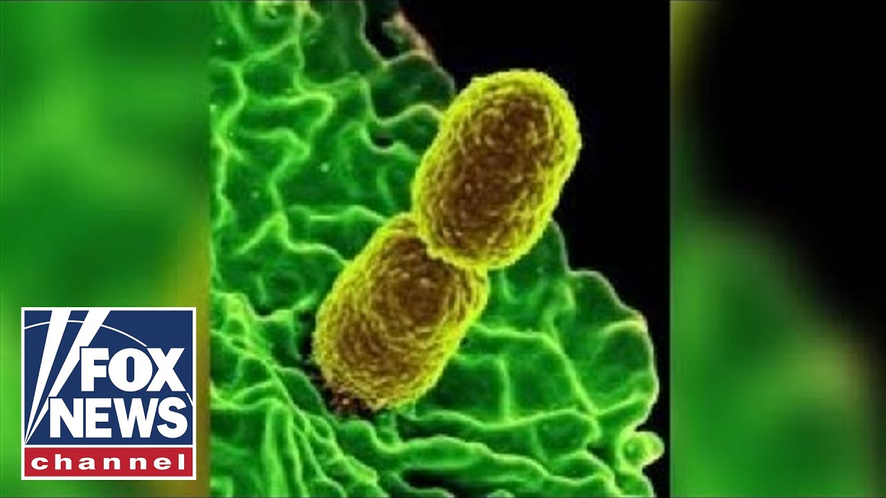 'Nightmare bacteria' cases seen in 27 states, CDC reports
