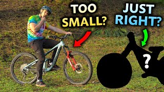 Are My Bikes Too Small for me?  I Bought Something BIGGER!