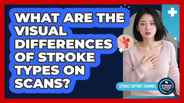 What Are The Visual Differences Of Stroke Types On Scans? - Stroke Support Channel