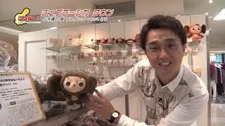 まちかどワイド　ここ推し！2018年11月29日